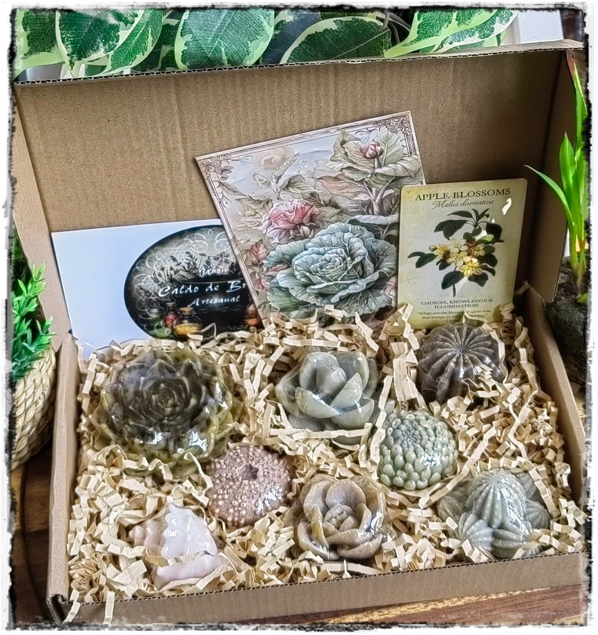 Caja de Jabones artesanales "Elementos de la Naturaleza"